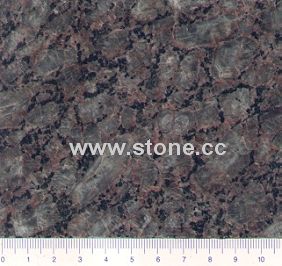 Brunello Brown