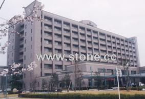 Building Stone 2