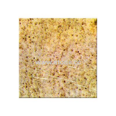 Kashmir White Counter Top