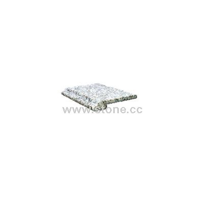 YL-CT003