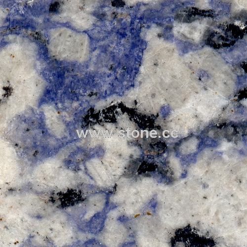 Dalmata