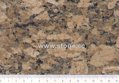 Fiorito Yellow Gold