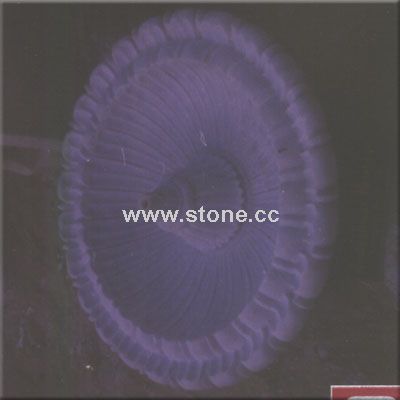 Fountain 6