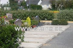 Gardening and landscaping