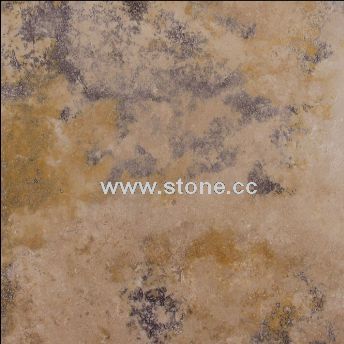 Golden Ink (Tortoise)