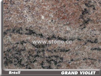 Grand Violet