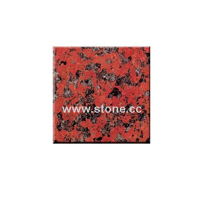 Africa Red