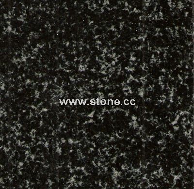 Forest Black