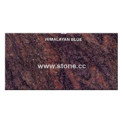 Himalayan Blue