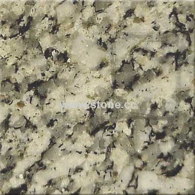 Mudugal Grey