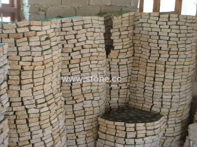 Granite Paving stone with netting