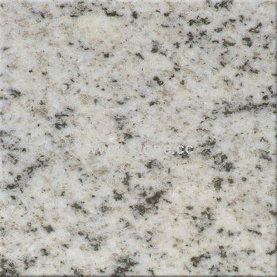 Sesame White Laizhou