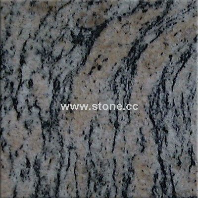 Tiger Skin (1)