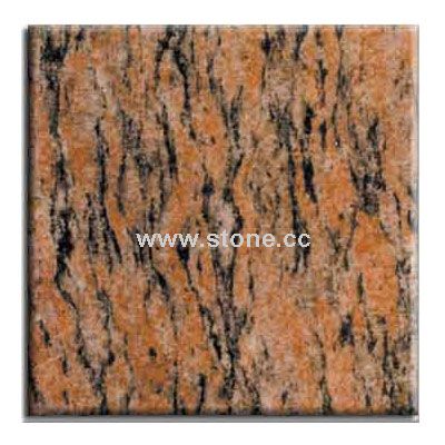 Tiger Skin (2)