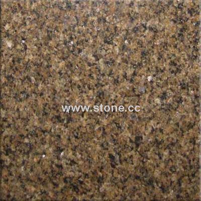 Tropical Brown