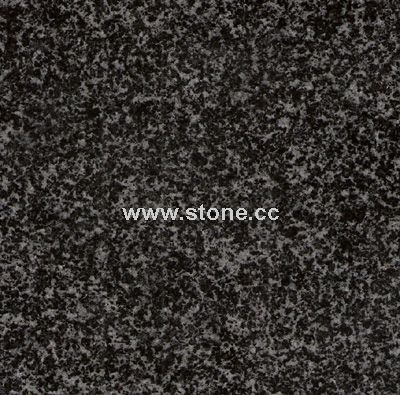 Violet Light Black