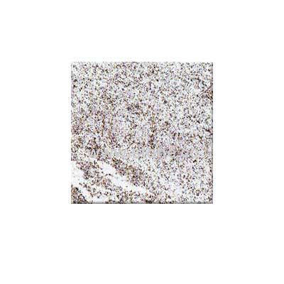 Viscon White