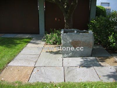 Grasy flag stone/step stone Grasy flag stone/step stone
