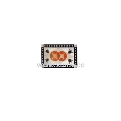 PTN-012