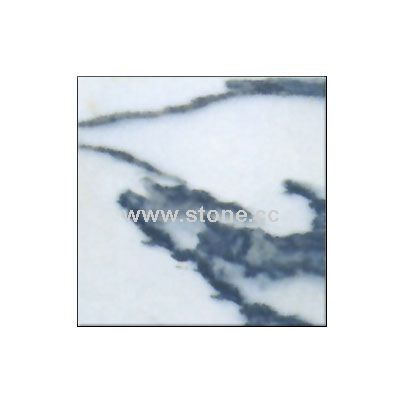 Arabescato Corchia - RD-DLS-009
