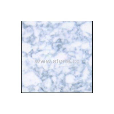 Fiore Biano La Media - RD-DLS-008