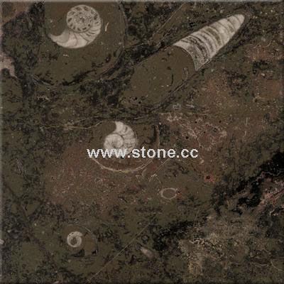 Fossil Brown