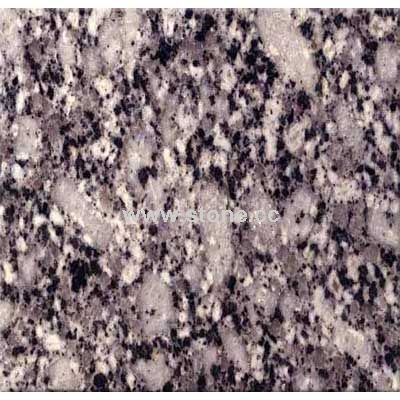 Pista White 1