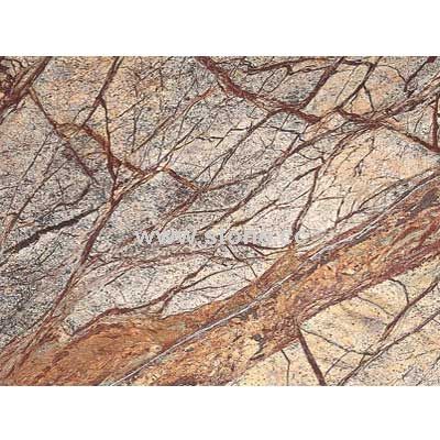 Rainforest Brown