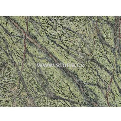 Rainforest Green