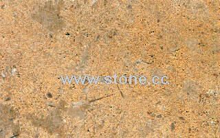 Massangis Roche Jaune