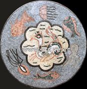 Medallion
