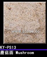 Mushroom Paving Stone KY-PS13