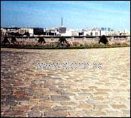 Napoleon paving