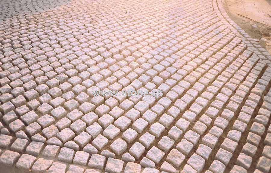 Paving Stone 6
