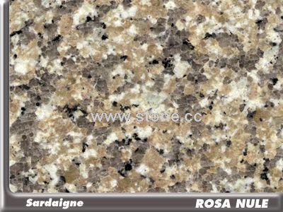 Rosa Nule