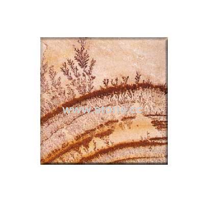 Fossil