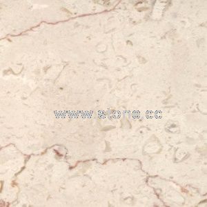 Shell Beige