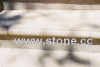 Steps ane Treads