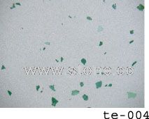 Te-004
