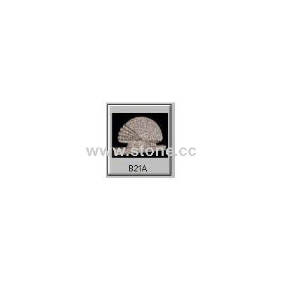B21A
