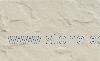 White Sandstone