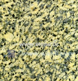 Granite -Grallo Amezom
