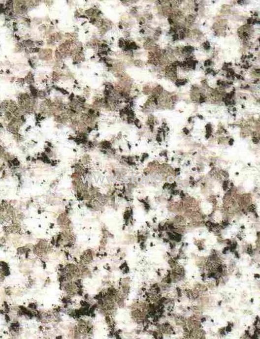 China Rosa Beta China Rosa Beta