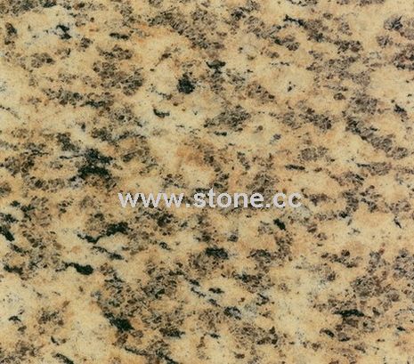 Granite / Marble Tile Granite / Marble Tile