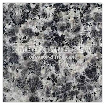 Leopard Skin Granite