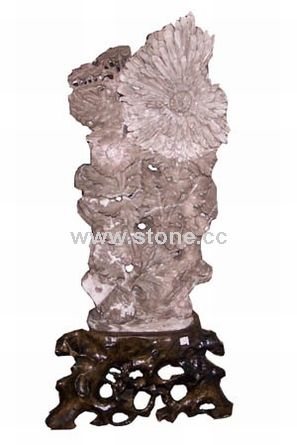 Chrysanthemum Stone Chrysanthemum Stone
