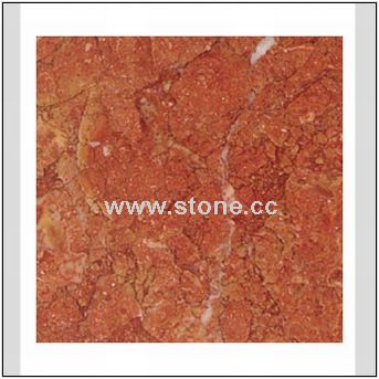 Tile Tile