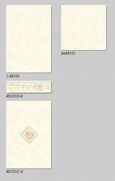 300x450mm Ceramic Wall Tile(1-45101)