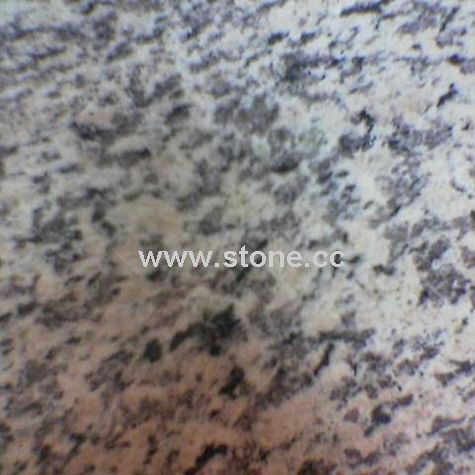 Tiger Skin White Granite Tile Tiger Skin White Granite Tile