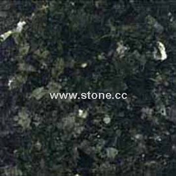 Polished Tile